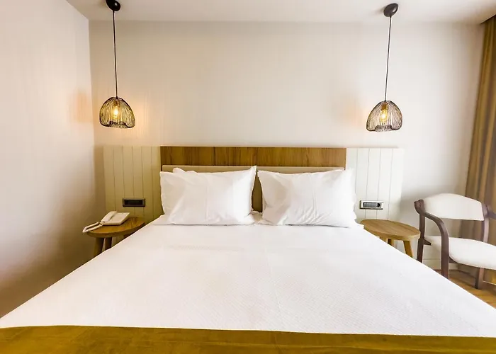 Dedeoglu Port * 페티예