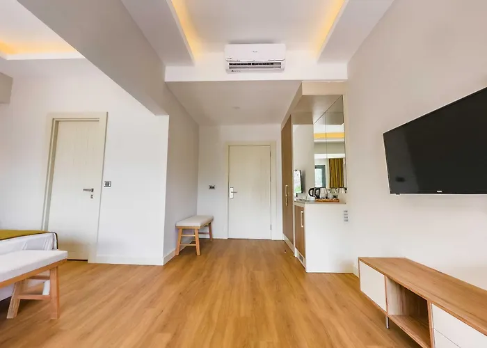 Dedeoglu Port 费特希耶